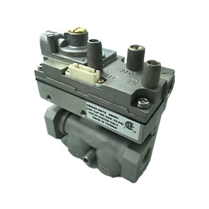 6003V Natural Gas Control Valve