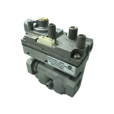 6003V Casting Gas Valve